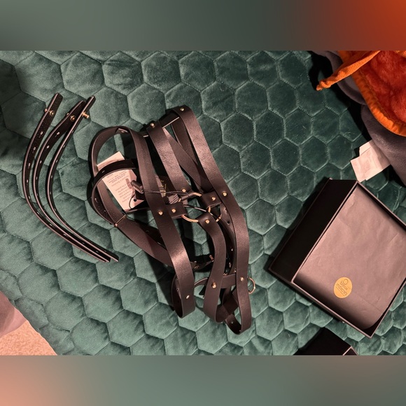 Bijoux Indiscrets Wide Belt and Restraints - Picture 2 of 6